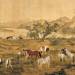 One Hundred Horses